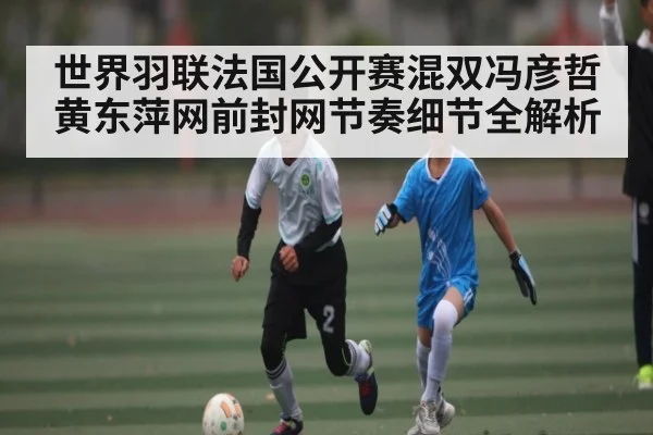世界羽联法国公开赛混双冯彦哲黄东萍网前封网节奏细节全解析